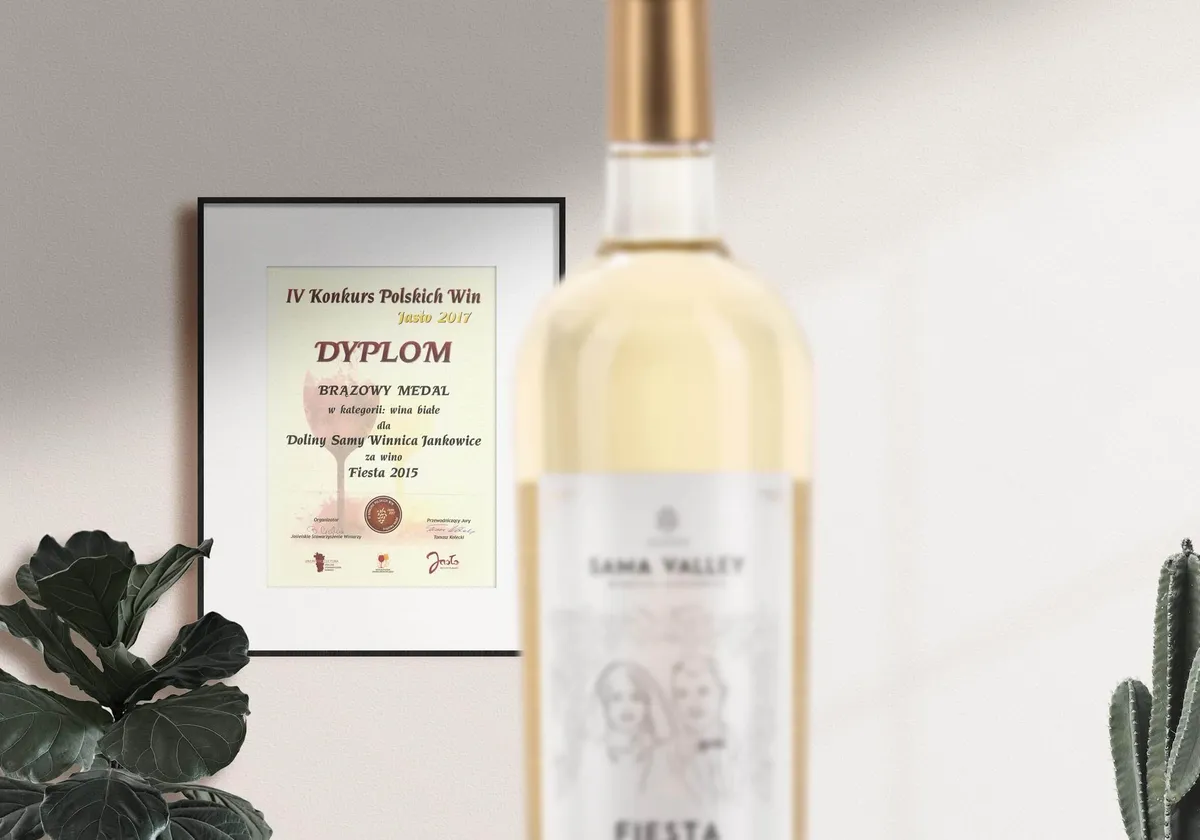 Dyplom — Brązowy medal, Konkurs Polskich Win Jasło 2017, Fiesta 2015